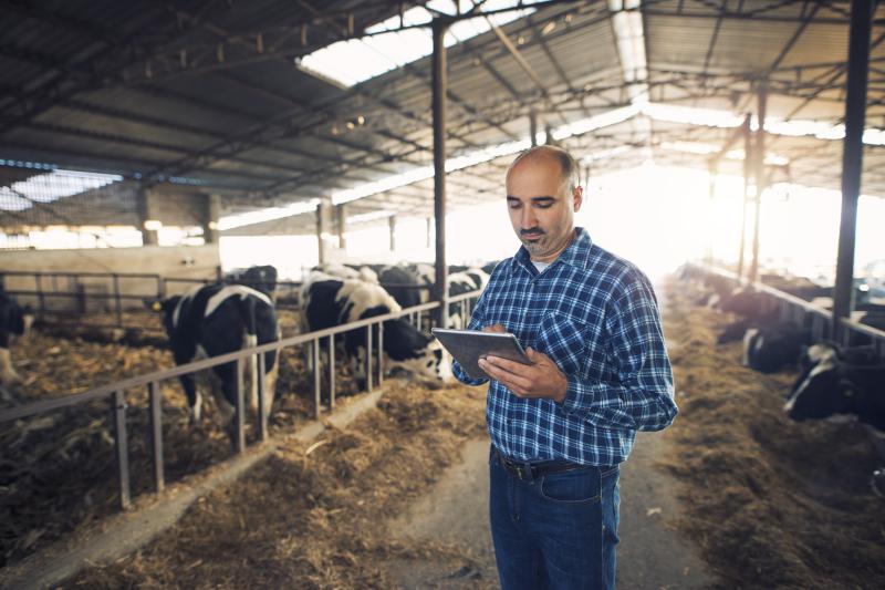 Como a Inteligência artificial pode tornar a sua fazenda mais rentável?