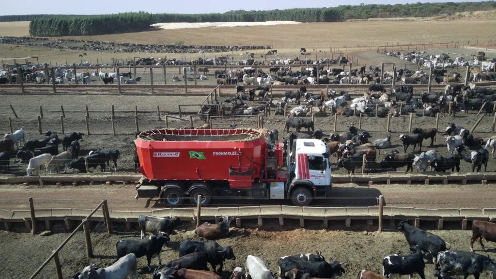 https://blog.haramaq.com/blogs/mercado-brasileiro-e-impulsionado-pela-pecuaria-de-confinamento/ https://blog.haramaq.com/blogs/mercado-brasileiro-e-impulsionado-pela-pecuaria-de-confinamento/