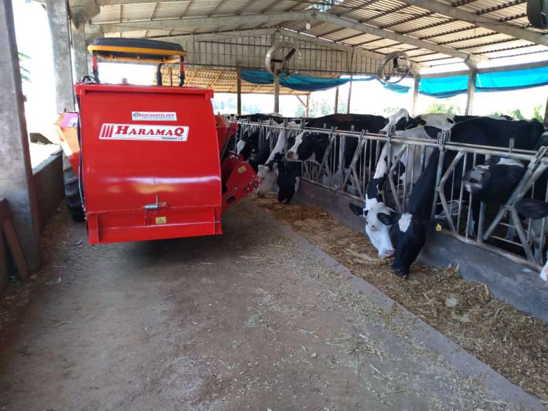 Compost barns para vacas