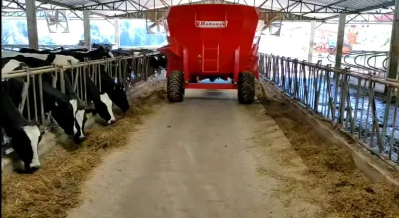 Imagem ilustrativa de Free stall para bovinos de leite