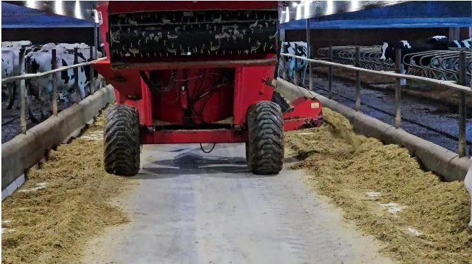 Imagem Ilustrando Haramaq Imagem Ilustrando Haramaq