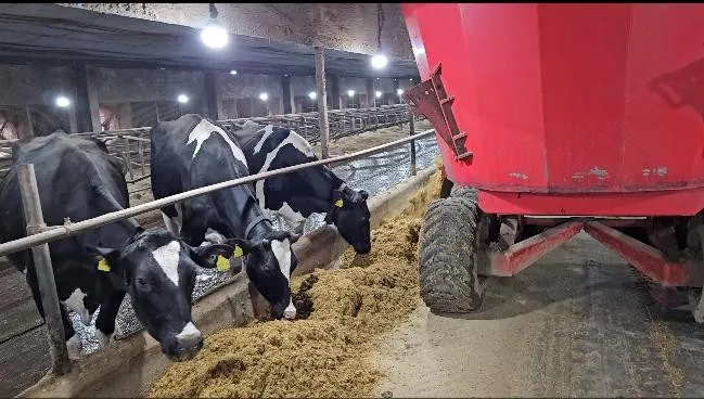 Imagem Ilustrando Haramaq Imagem Ilustrando Haramaq