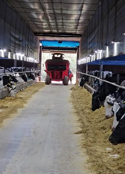 Imagem Ilustrando Haramaq Imagem Ilustrando Haramaq