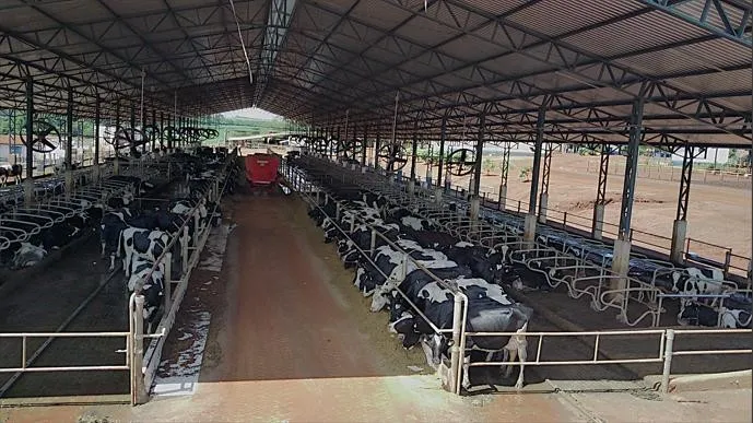 Imagem Ilustrando Haramaq Imagem Ilustrando Haramaq