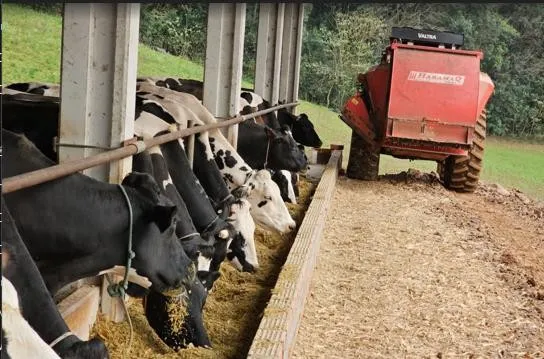 Imagem ilustrativa de Vagão misturador tratador de bovinos