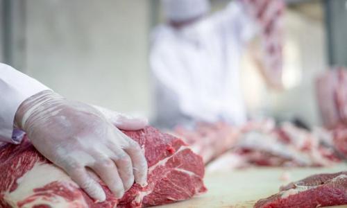 Carne bovina: Brasil exportou 107,5 mil toneladas para países árabes até julho